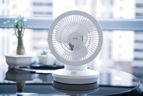 夏日新風向 循環扇真的比普通風扇更值得買嗎？