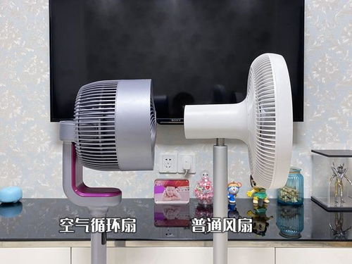 空氣循環扇該怎么選?三款主流空氣循環扇強勢對決
