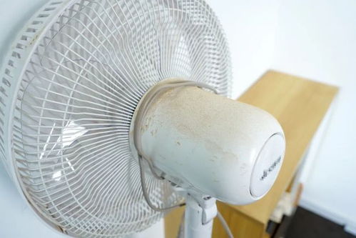 拜拜了空調，這臺風扇親測后我就沒關過